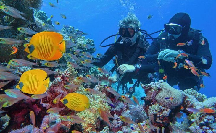 Отдых в Египте для туристов из Узбекистана: виза, курорты и цены