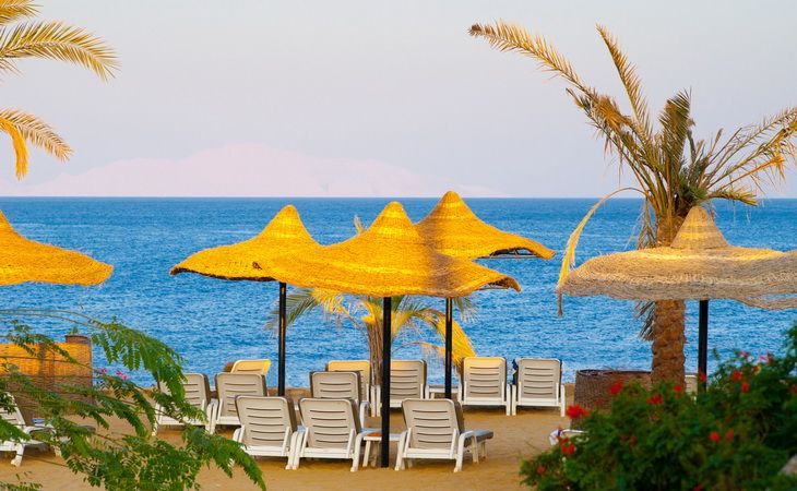 Пляжный отдых в Египте из Узбекистана — лучшие курорты Красного моря