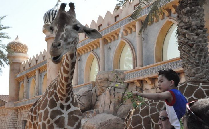 Туры в ОАЭ из Узбекистана — отдых в стране роскоши, технологий и впечатлений