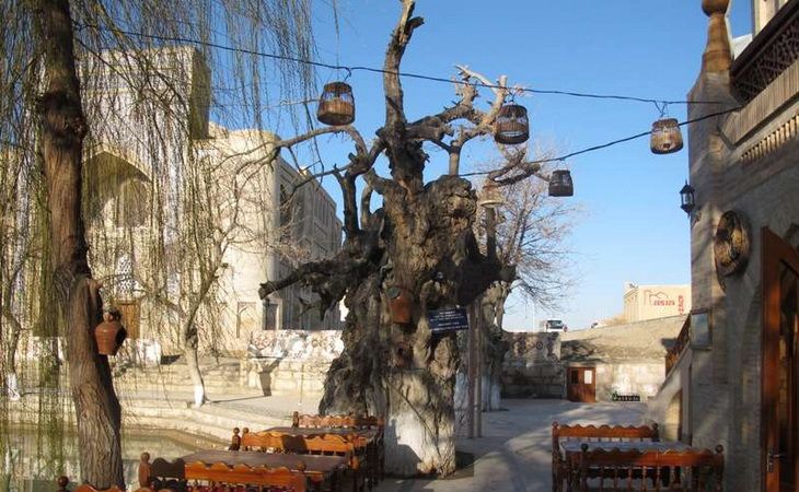 Ляби-Хауз в Бухаре: сердце Старого города и обязательная остановка в туре по Узбекистану