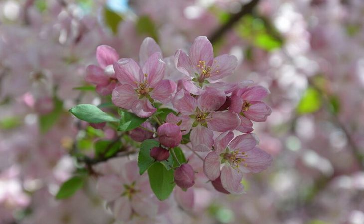 Весна 2026: куда поехать узбекистанцам — лучшие направления