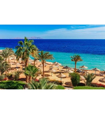 Rixos Jet в Шарм-эль-Шейх — туры в Египет из Узбекистана