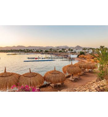 Rixos Jet в Шарм-эль-Шейх — туры в Египет из Узбекистана