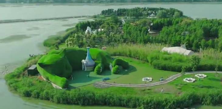 Остров толстых котов в Китае: необычное место для путешествия