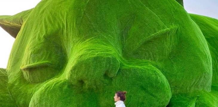 Китай остров толстых котов