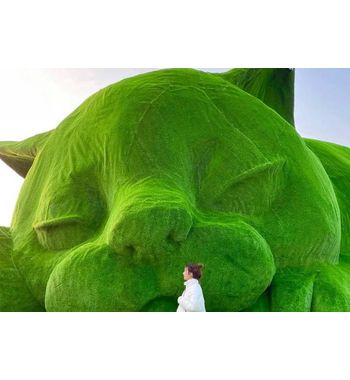 Хитой — семиз мушуклар ороли