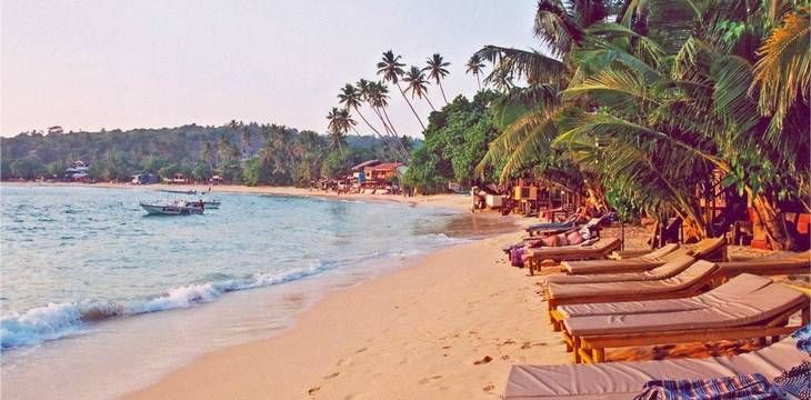 Визы в Шри-Ланке продолжают выдавать по прибытии 