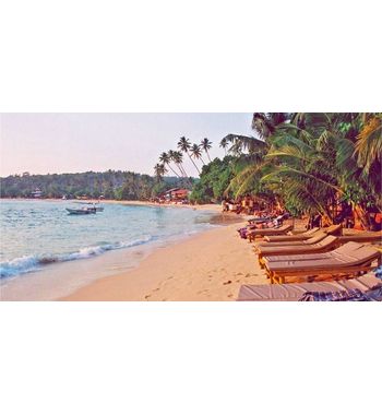 Шри-Ланкада визаларни келганда олиш давом этмоқда