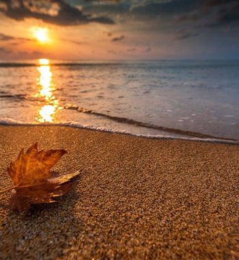 Бархатли мавсум маршрутлари