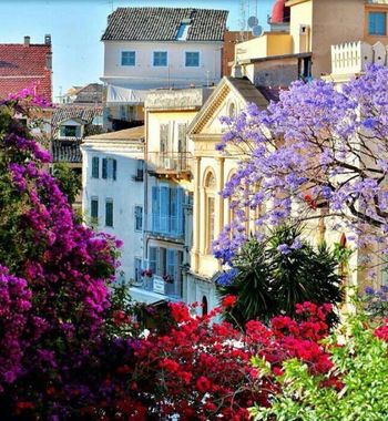 Бахорий Юнонстон: Корфу ороли