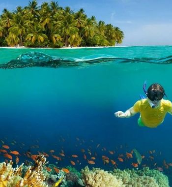 Мальдив ороллари: дайверлар учун Мекка ва янги турмуш қурганлар учун жаннат