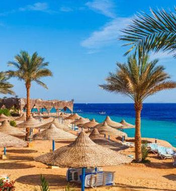 Мисрда унутилмас дам олиш