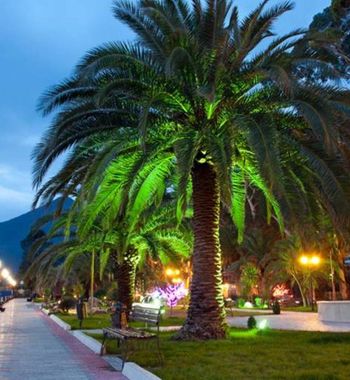 Арзон, лекин сифатли дам олиш Абхазияда