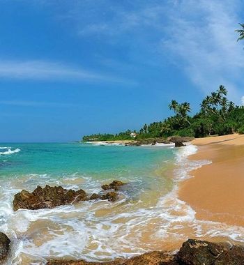 Шри-Ланкада ажойиб дам олиш 2025