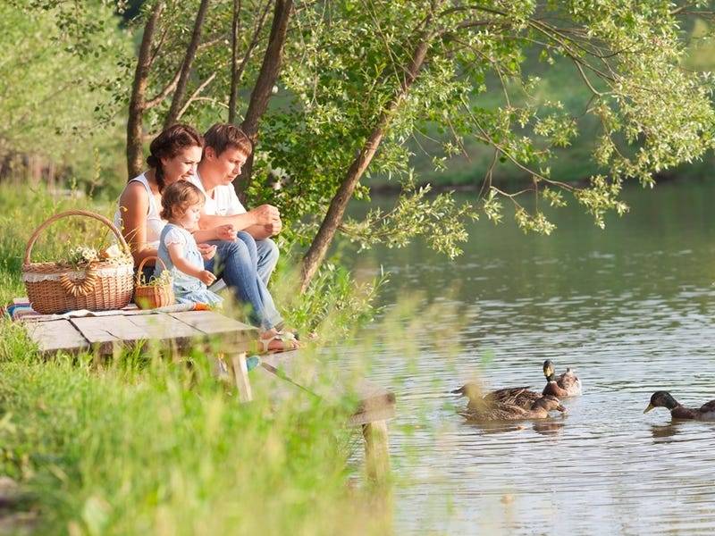 Отдых с детьми на природе — идеи и рекомендации Отдых с детьми на природе — идеи и рекомендации