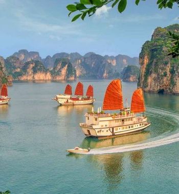 Вьетнамдаги экзотик дам олиш — қарама-қаршиликлар ва меҳмондўстлик мамлакати