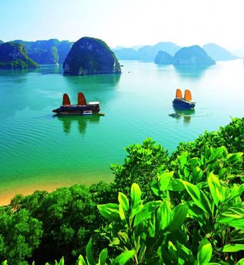 Вьетнамда дам олиш — жаннат каби соҳиллар, мазали таомлар ва бой маданият