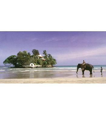 Отмена обязательного оформления ETA для въезда в Шри-Ланка 