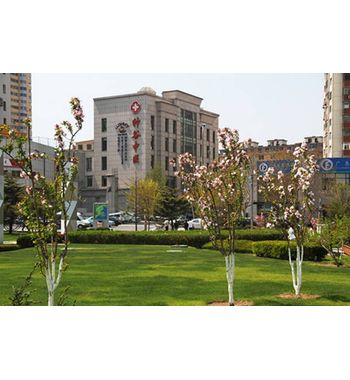 Далянь. Лечение в Медицинском центре «Шеньгу»