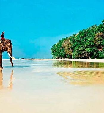 Ҳиндистонда дам олиш — қарма-қаршиликлар ва ёрқин ранглар мамлакати