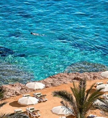 Мисрга дам олишга бораётганлар учун фойдали маълумот