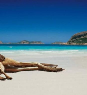 Австралияда унутилмас дам олиш