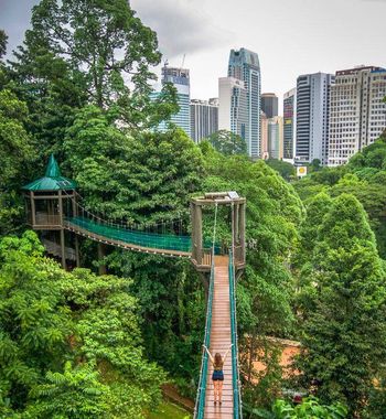 Малайзияда дам олиш — тропик ороллар, пляжда дам олиш ва экзотик таомлар