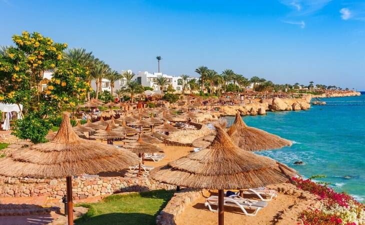 Шарм Эль Шейх из Ташкента Шарм Эль Шейх из Ташкента