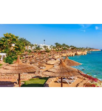 Шарм Эль Шейх из Ташкента