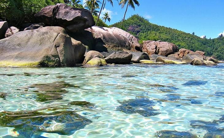 КОКО ДЕ МЕР НА СЕЙШЕЛАХ