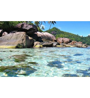 КОКО ДЕ МЕР НА СЕЙШЕЛАХ