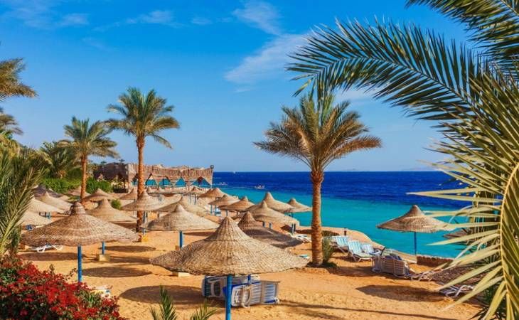 Тур в Египет