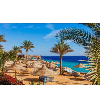 Тур в Египет