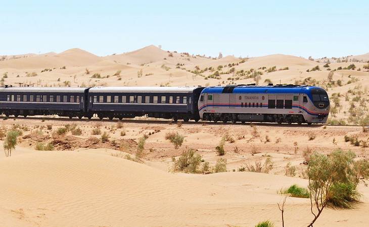 Приключение на Шелковом пути