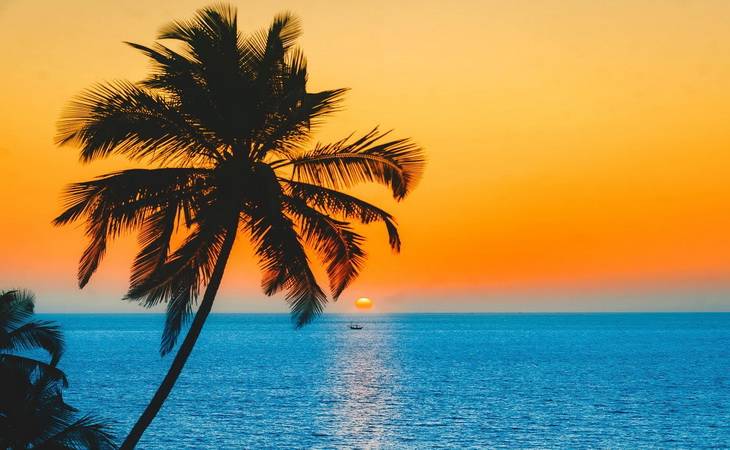 Тур на Гоа из Узбекистана — прямой рейс в место райского отдыха у океана!