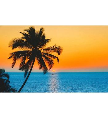 Тур на Гоа из Узбекистана — прямой рейс в место райского отдыха у океана!