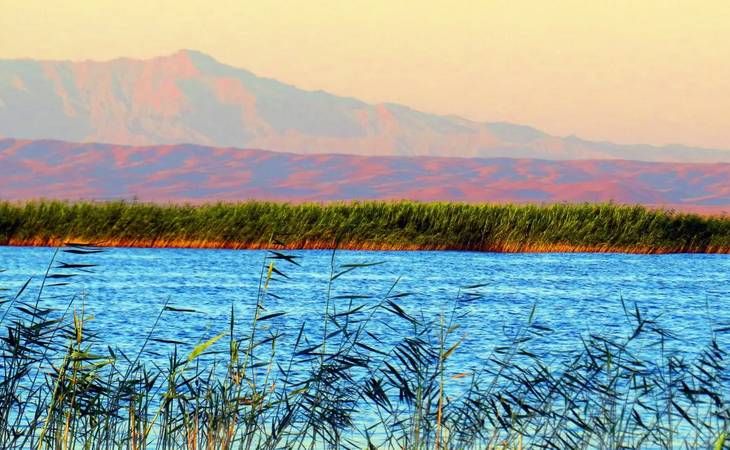 Лазурное чудо Узбекистана – озеро Айдаркуль