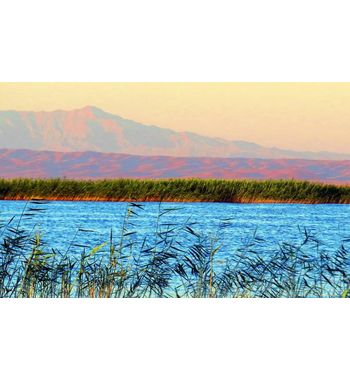 Лазурное чудо Узбекистана – озеро Айдаркуль