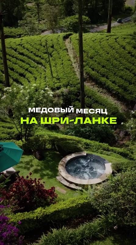 НОВЫЙ ГОД И МЕДОВЫЙ МЕСЯЦ НА ШРИ-ЛАНКЕ 